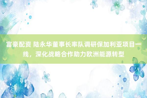 富豪配资 陆永华董事长率队调研保加利亚项目一线，深化战略合作助力欧洲能源转型