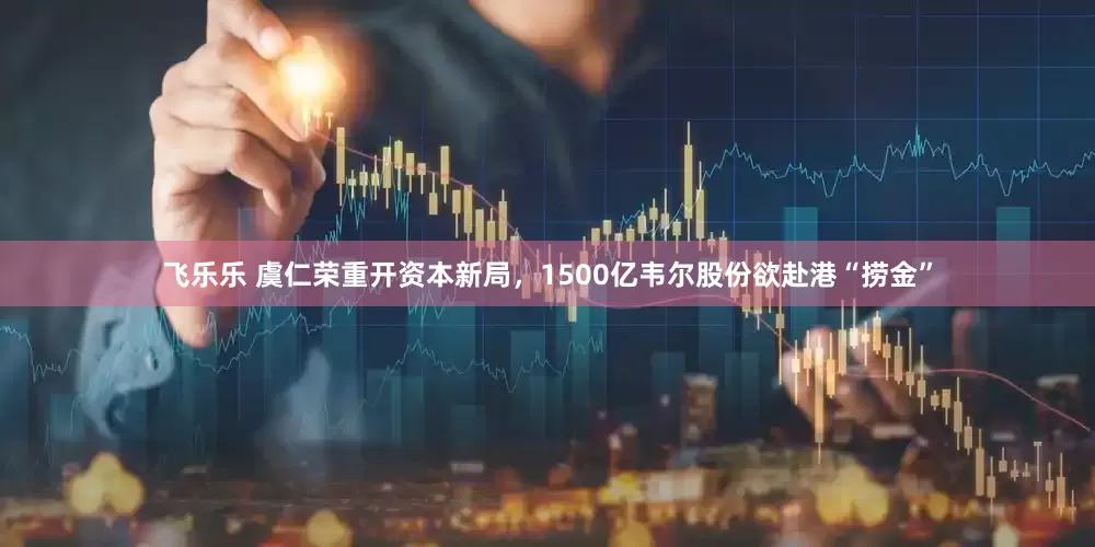 飞乐乐 虞仁荣重开资本新局，1500亿韦尔股份欲赴港“捞金”