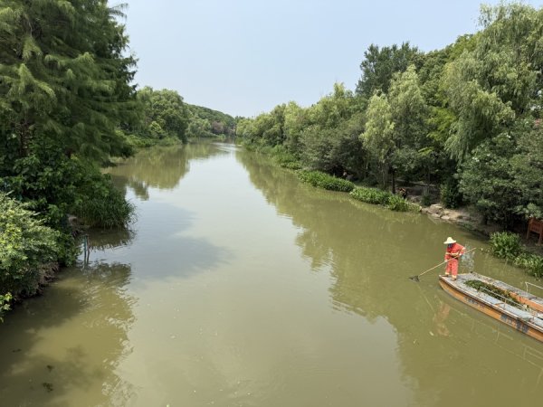 嗨牛股票 追踪｜申城夏日“桨板热”不减， 新江湾城街道回应已修复防护网，将加强巡查