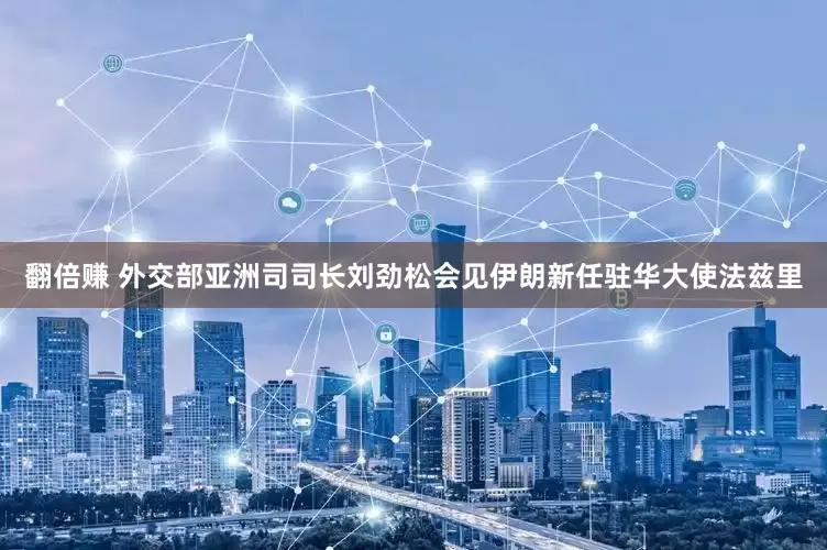 翻倍赚 外交部亚洲司司长刘劲松会见伊朗新任驻华大使法兹里