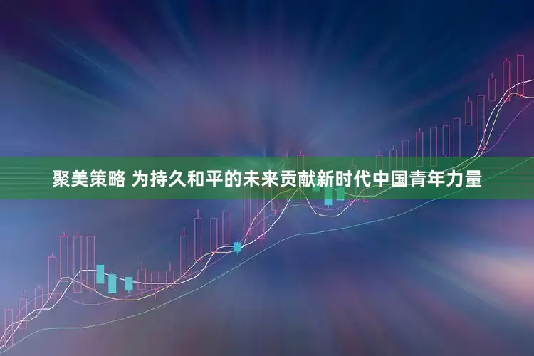 聚美策略 为持久和平的未来贡献新时代中国青年力量