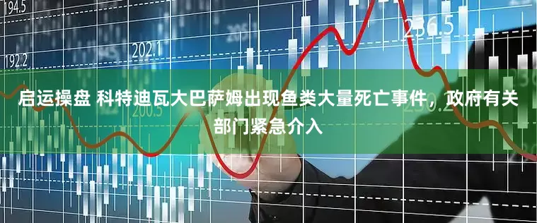 启运操盘 科特迪瓦大巴萨姆出现鱼类大量死亡事件，政府有关部门紧急介入
