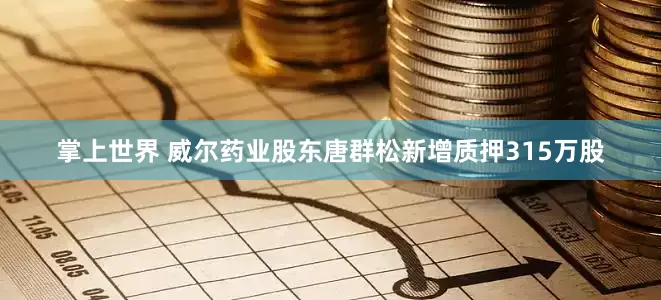 掌上世界 威尔药业股东唐群松新增质押315万股