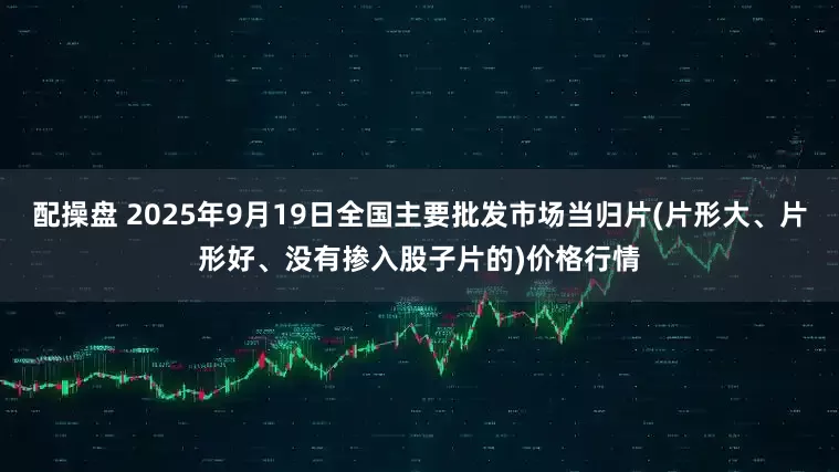 配操盘 2025年9月19日全国主要批发市场当归片(片形大、片形好、没有掺入股子片的)价格行情