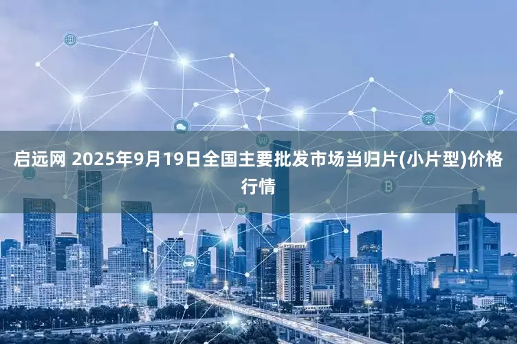 启远网 2025年9月19日全国主要批发市场当归片(小片型)价格行情