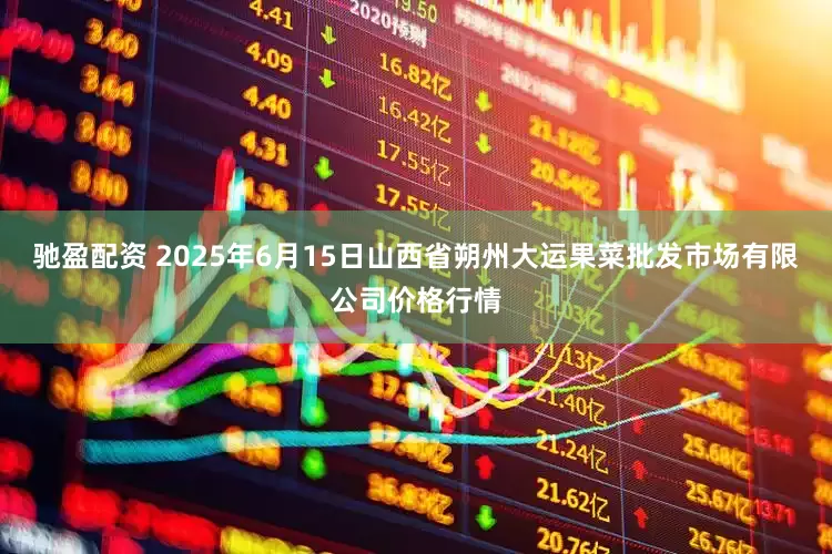 驰盈配资 2025年6月15日山西省朔州大运果菜批发市场有限公司价格行情
